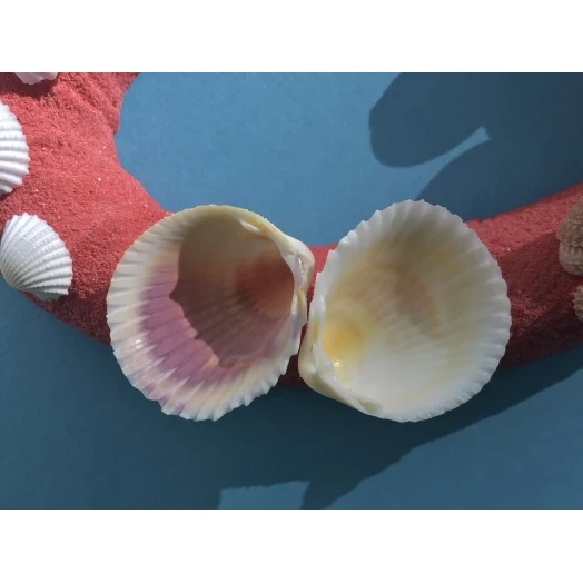 Sea Picture / Frame, Red and Pink Sandy Heart # 32 Sea Picture / Frame, Red and Pink Sandy Heart # 32