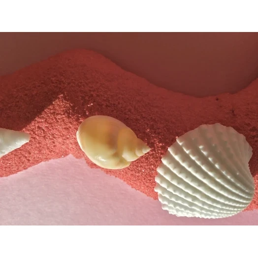 Sea Picture / Frame, Red and Pink Sandy Heart # 32 Sea Picture / Frame, Red and Pink Sandy Heart # 32