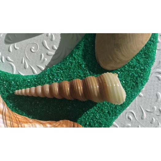 Sea Picture / Frame, Green & Yellow Sandy Serpentine Wave # 46 Sea Picture / Frame, Green & Yellow Sandy Serpentine Wave # 46
