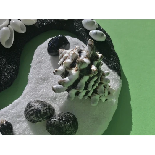 Sea Picture / Frame, Black & White Sandy Mandala # 43