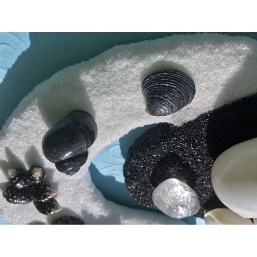 Sea Picture / Frame, Black & White Sandy Mandala # 43
