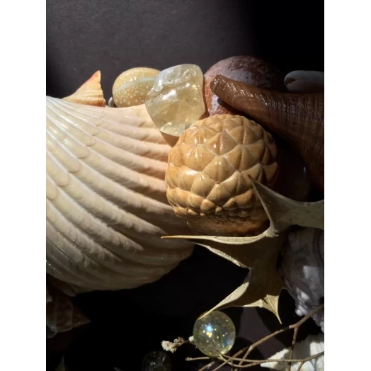 Sea Picture / Frame, Beige, Cappuccino, Round # 4