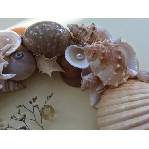 Sea Picture / Frame, Beige, Cappuccino, Round # 4
