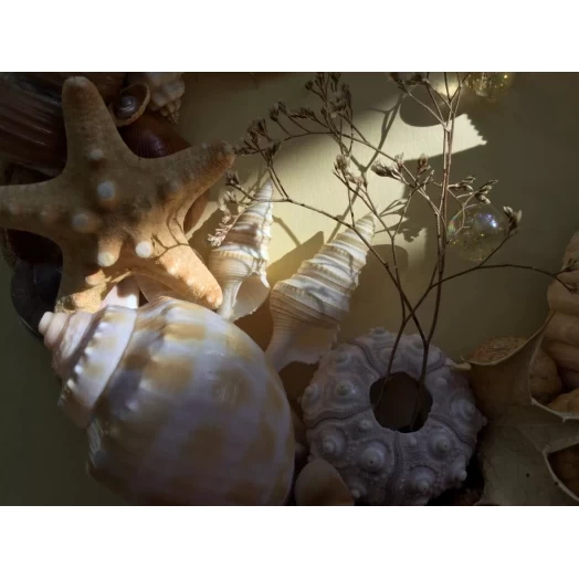 Sea Picture / Frame, Beige, Cappuccino, Round # 4