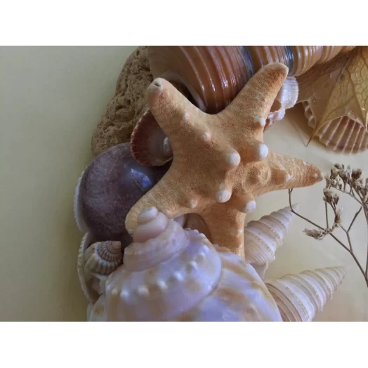 Sea Picture / Frame, Beige, Cappuccino, Round # 4