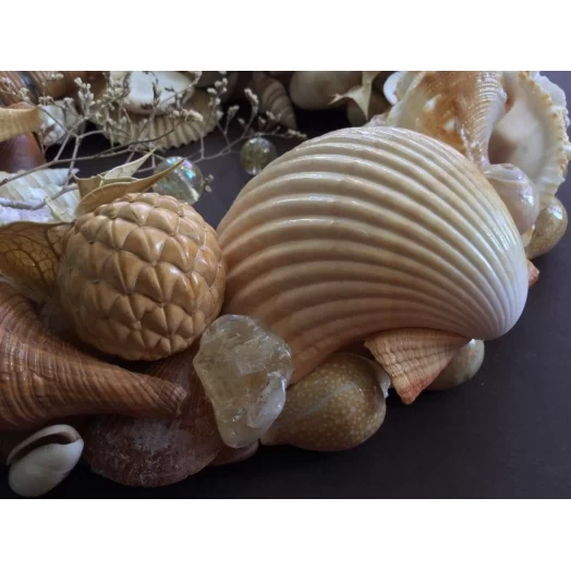 Sea Picture / Frame, Beige, Cappuccino, Round # 4