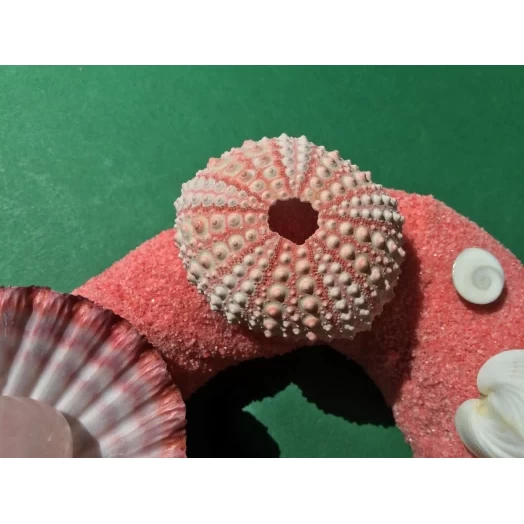 Sea Picture / Frame, Pink-Red Sandy Heart # 22 Sea Picture / Frame, Pink-Red Sandy Heart # 22