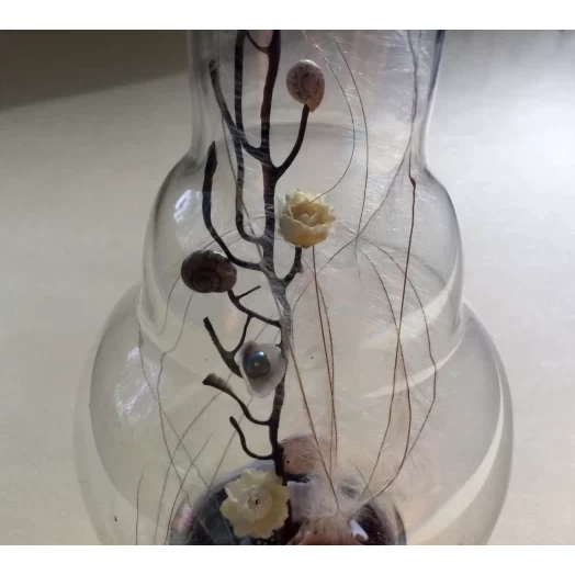 Sea Tree / Miniature in the Lamp # 4