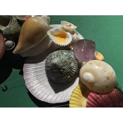 Sea Picture / Frame, Colorful, Round # 5