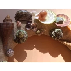Морська картина / рамка кольорова, світло-коричнева, бежева кругла пісочна # 16