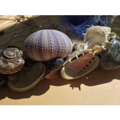 Морська картина / рамка, синя, біла, бузкова і бордова, прямокутна # 12