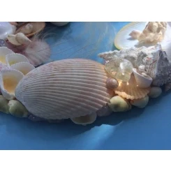 Морська картина / рамка біла, рожева і жовта, овальна # 6