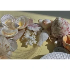  Морська картина / рамка біла, жовта, рожева квадратна # 2