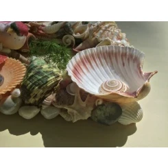 Морська картина / рамка зелена, жовта, червона, помаранчева / різнокольорова квадратна # 5