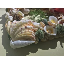 Морська картина / рамка зелена, жовта, червона, помаранчева / різнокольорова квадратна # 5