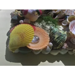Морська картина / рамка зелена, жовта, червона, помаранчева / різнокольорова квадратна # 5