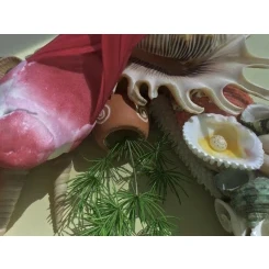 Морська картина / рамка зелена, жовта, червона, помаранчева / різнокольорова квадратна # 5