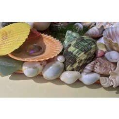 Морська картина / рамка зелена, жовта, червона, помаранчева / різнокольорова квадратна # 5