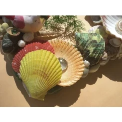 Морська картина / рамка зелена, жовта, червона, помаранчева / різнокольорова квадратна # 5