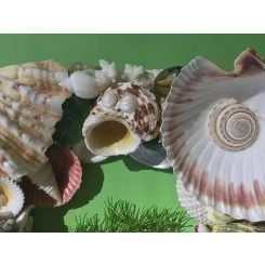 Морська картина / рамка зелена, жовта, червона, помаранчева / різнокольорова квадратна # 5