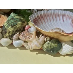 Морська картина / рамка зелена, жовта, червона, помаранчева / різнокольорова квадратна # 5