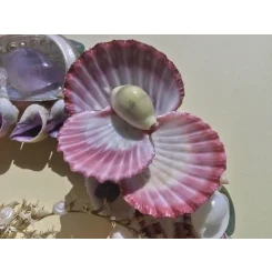 Морська картина / рамка різнокольорова кругла # 7